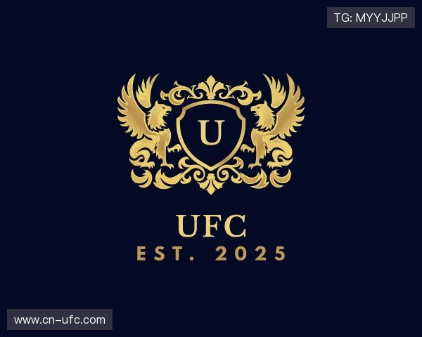 介绍ufc集团